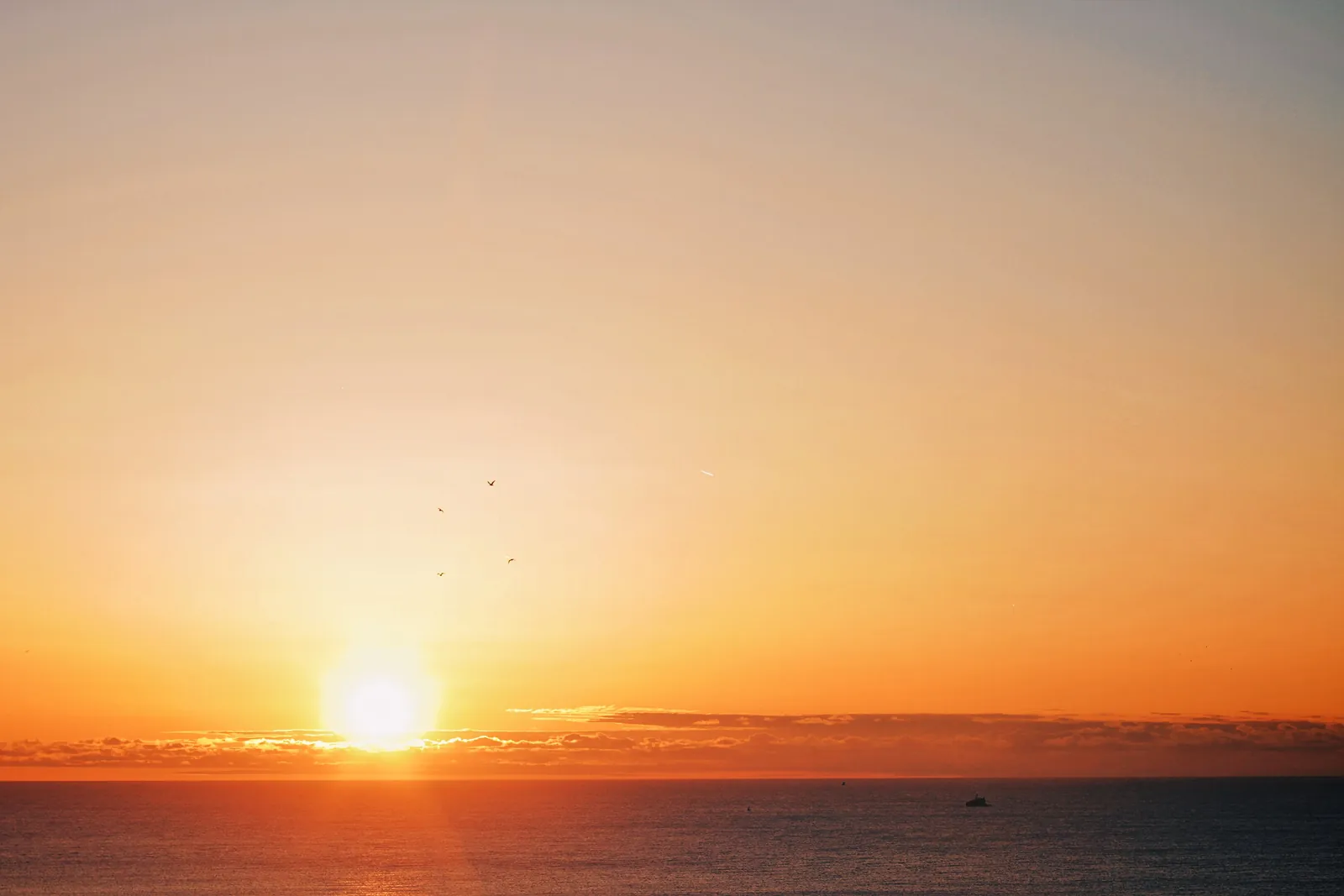 A bright sun just above the horizon in an orange sky over dark blue water, with a few birds high in the sky