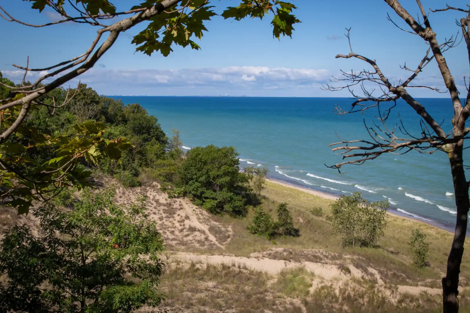 Looking down through tree branches from a dune top to a sandy beach and blue-green lake water under a pale sky