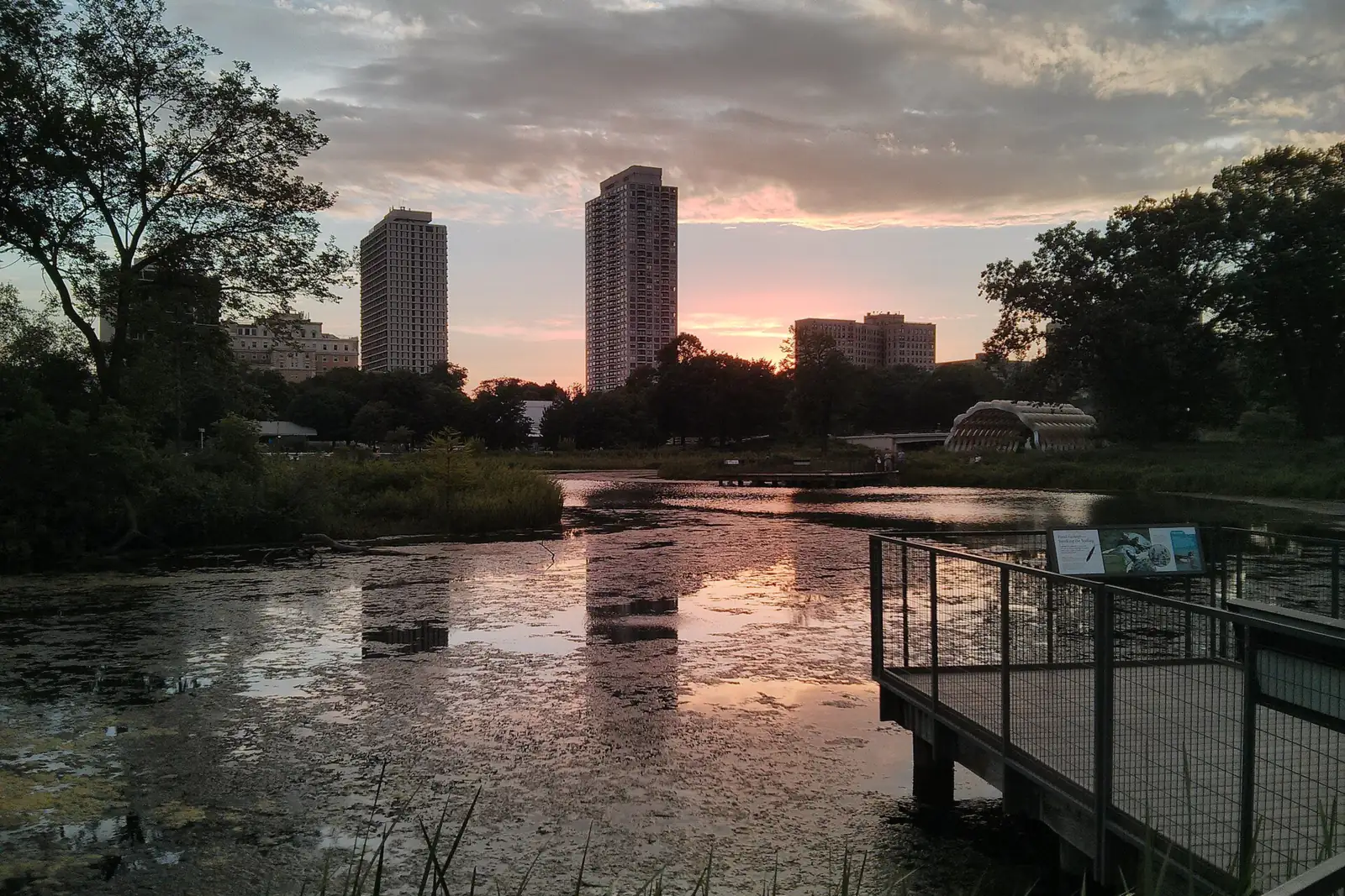 Sunset over the South Pond boardwalk in Lincoln Park, Chicago